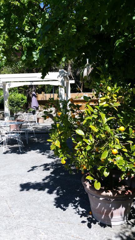 Le Clos Du Loup La Colle-sur-Loup Eksteriør billede